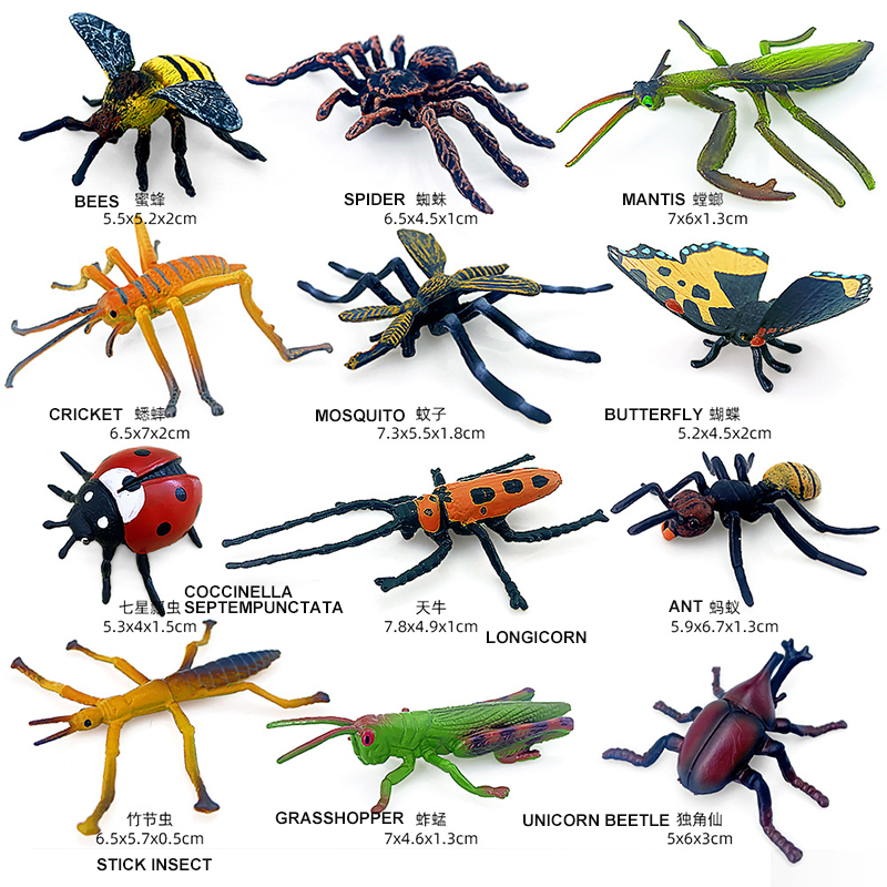 12ชิ้นแมลงป่าสัตว์ชุดโมเดลผีเส - Model Kit Lizard บทวิจารณ์และราคา
